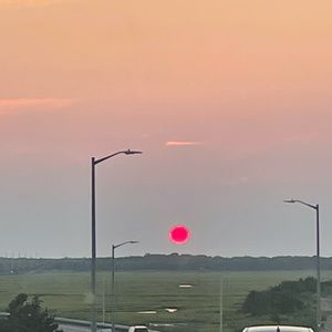 Meet your Posher, Isabella